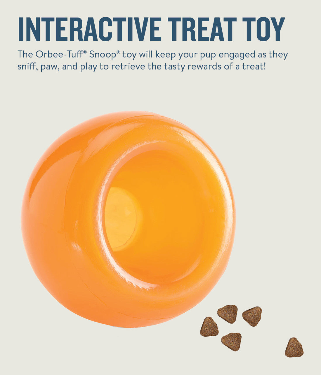 Planet Dog Orbee-Tuff Snoop Interactive Treat Dispensing Dog Toy