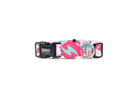 Dashi Flamingo dog collar in pink with flamingos, watermelon and palm leaves, bolt tag and D-ring
