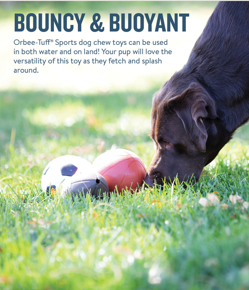 Planet Dog Orbee-Tuff Soccer Ball Treat-Dispensing Dog Chew Toy