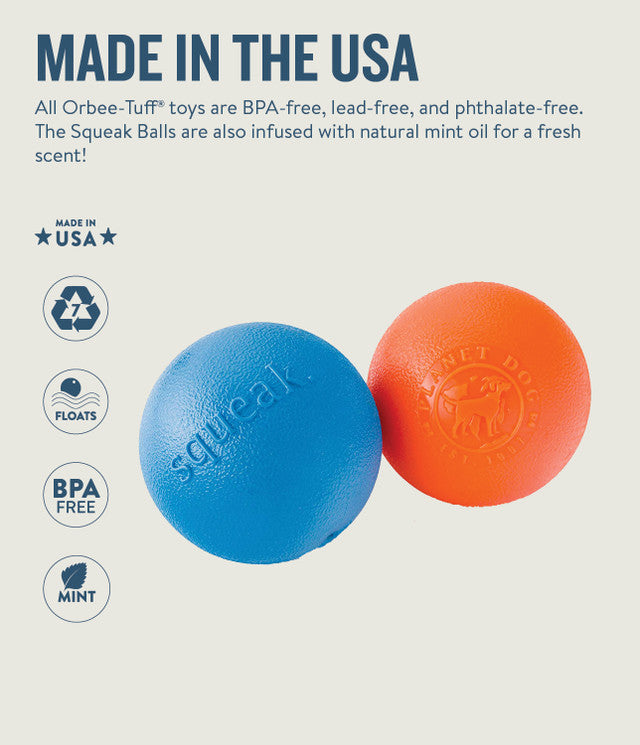 Planet Dog Orbee-Tuff Squeak Ball Dog Toy