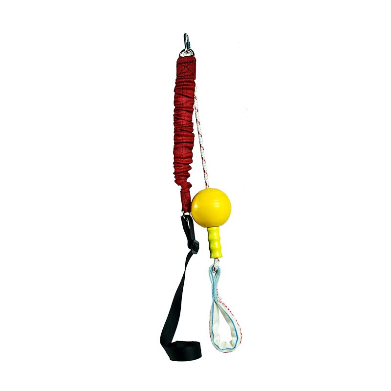 Aussie Dog Home Alone Dog Toy Small