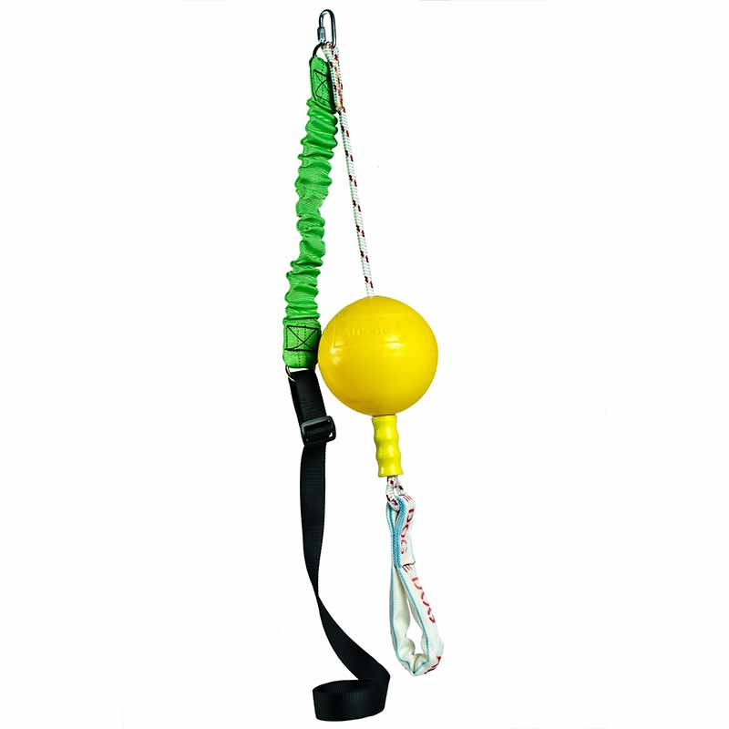 Aussie Dog Home Alone Dog Toy Medium