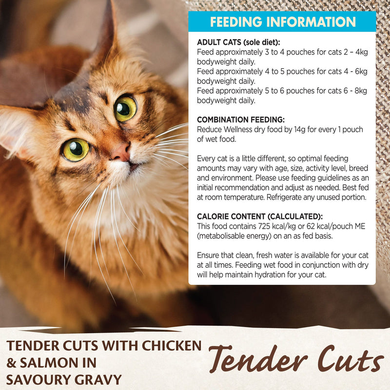 Wellness Core Wet Cat Food Tender Cuts With Chicken & Salmon In Savoury Gravy