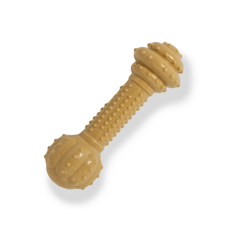 Nylabone Power Chew Durable Dog Toy Barbell Peanut Butter Flavor