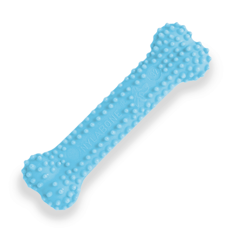 Nylabone Puppy Teething Chew Toy Flexible & Occupying Chicken Flavor