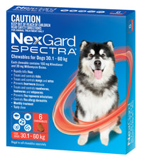 NexGard Spectra Chews for Very Large Dogs 30.1-60kg, flea, tick and worm treatment, 6 pack, dog