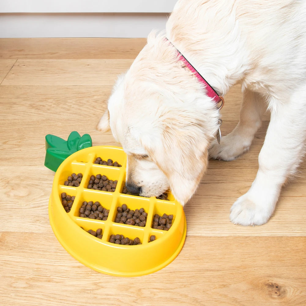 Cream retriever eating from a Zippy Paws pineapple-shaped slow feeder bowl
