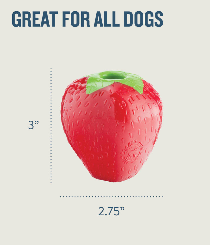 Planet Dog Orbee-Tuff Strawberry Treat-Dispensing Dog Chew Toy