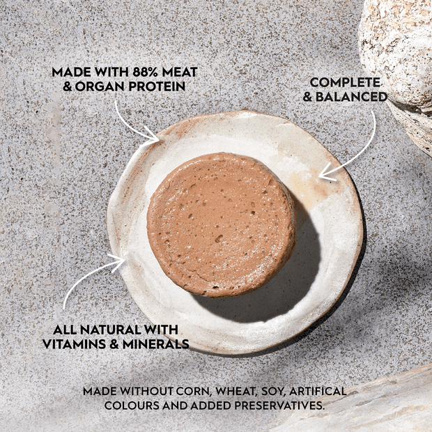 Trilogy Wet Adult Cat Food Complete Prey Pate Alaskan Salmon