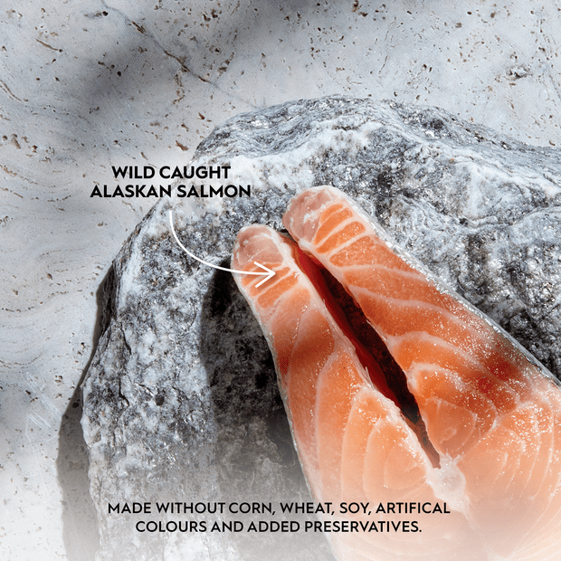 Trilogy Wet Adult Cat Food Complete Prey Pate - Wild Caught Alaskan Salmon