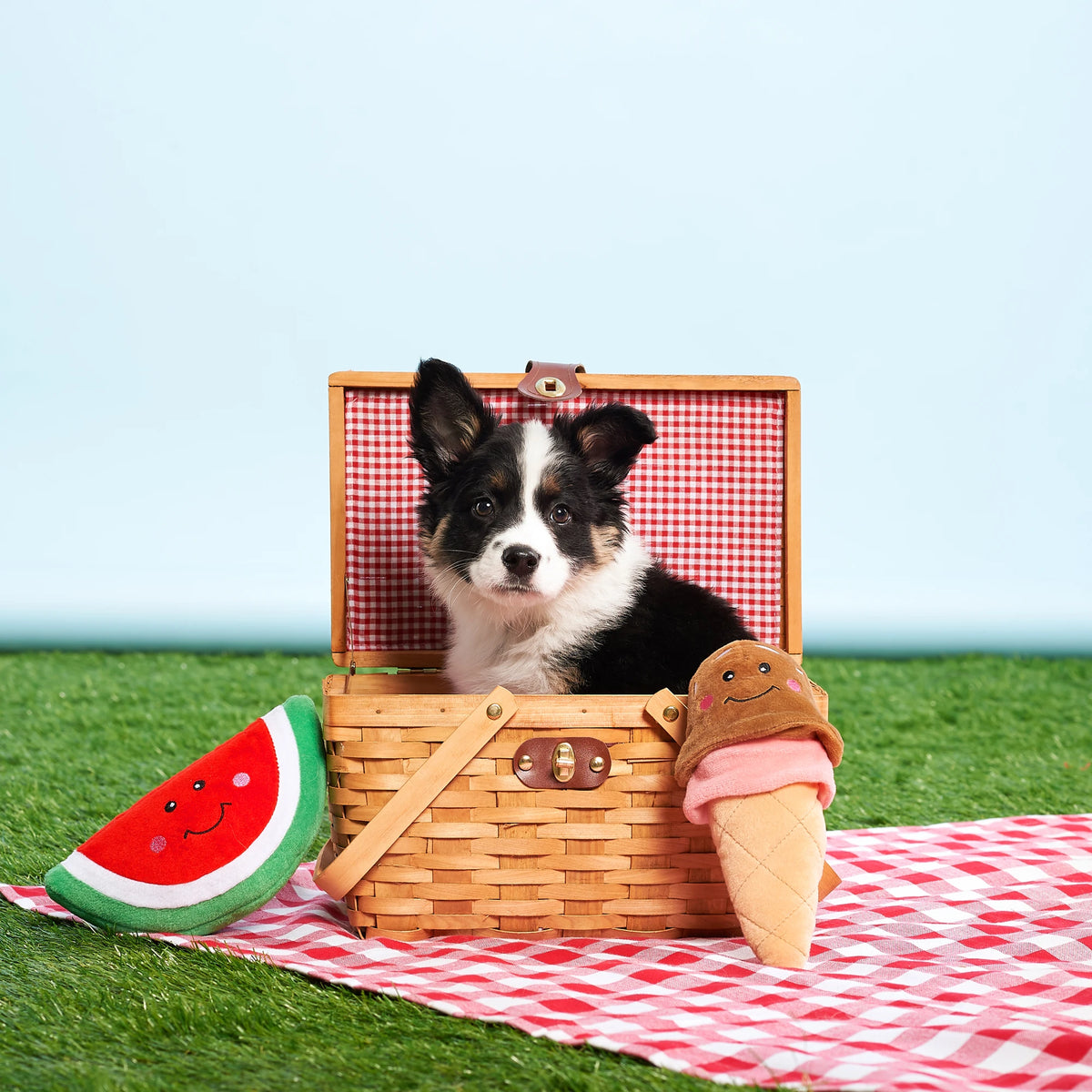 Corgi in a picnic basket with Zippy Paws NomNomz plush food dog toys on a gingham rug