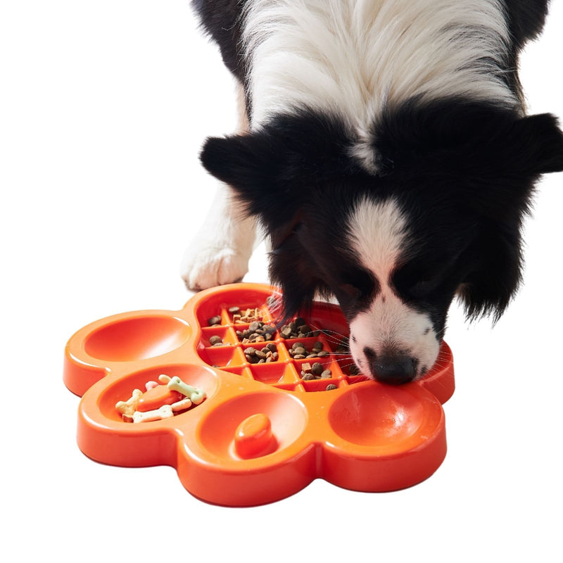 Pet DreamHouse PAW Slow Feeder Wet & Dry Food Bowl | PeekAPaw Pet Supplies