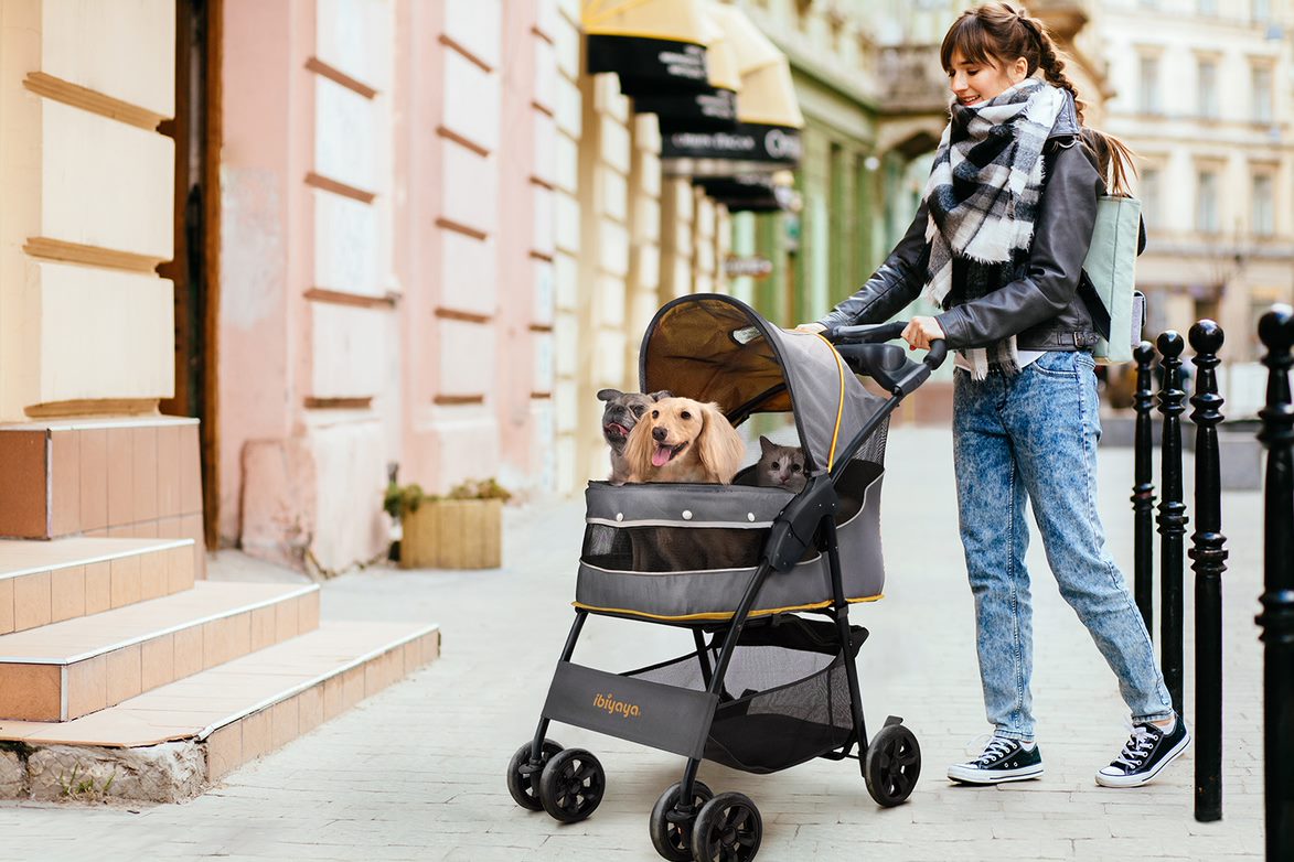 Ibiyaya Comfortable Cloud 9 Dog Cat Pet Stroller 23