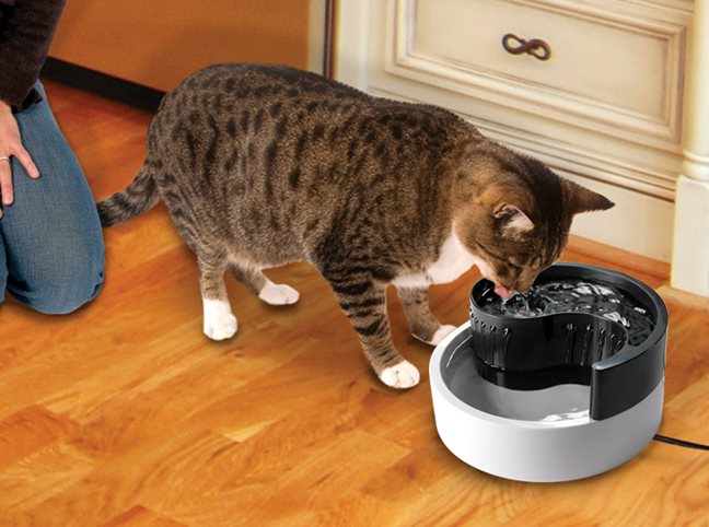 Pioneer Pet Fung Shui Drinking Fountain 1.7 Litres 3004