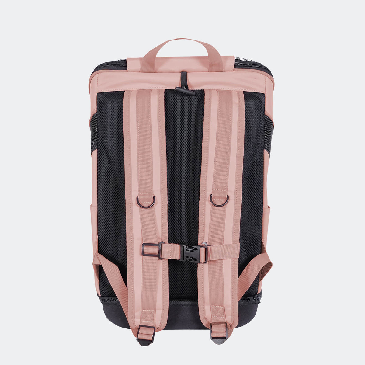 Back of the coral pink Ibiyaya Ultralight Pro backpack pet carrier, showing the padded straps