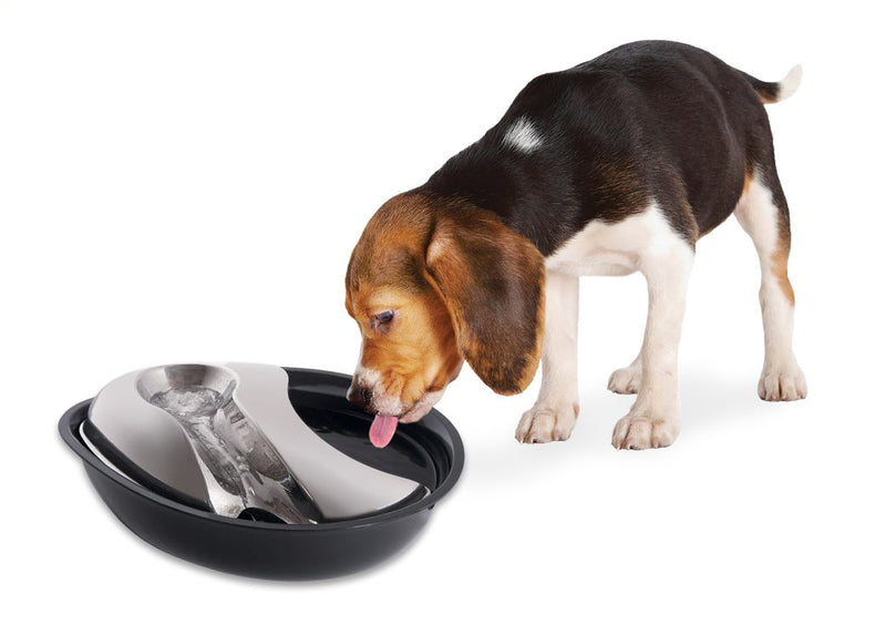 Pioneer Pet RainDrop Plastic/Stainless Steel Drinking Fountain 1.7 Litres 6029