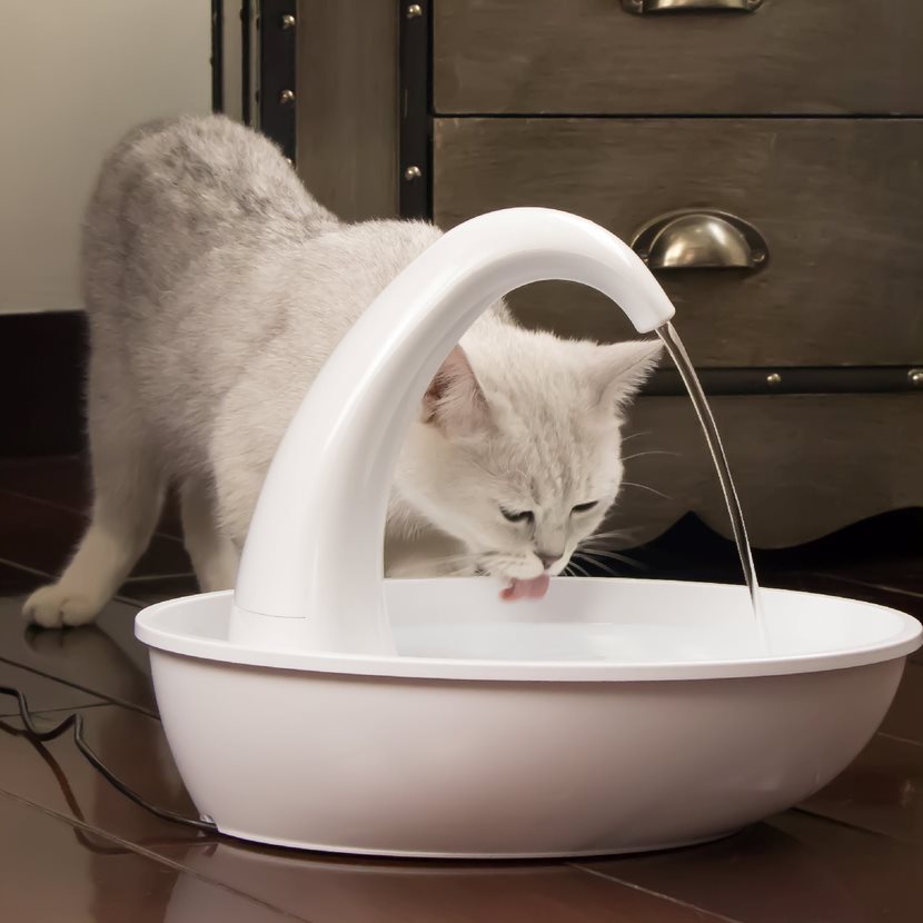 Pioneer Pet Swan Plastic Fountain 2.3 Litres 3075